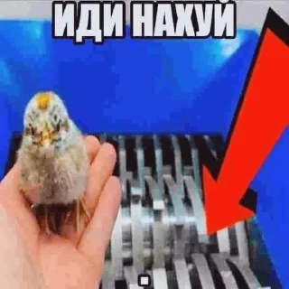🖕 emoji Будь ты проклят, Перри Утконос Telegram sticker 22 of 115