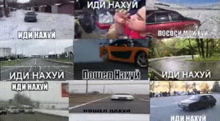 🌟 emoji Будь ты проклят, Перри Утконос Telegram sticker 24 of 115