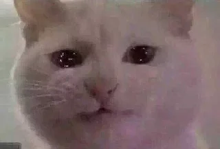 😭 emoji Больше стикеров тут: @stikery_emodzi_memy Telegram sticker 13 of 50
