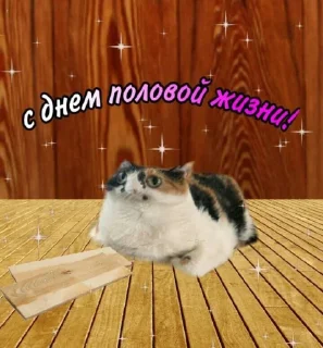 🤩 emoji Утро!! ^^ @TgEmodziBot Telegram sticker 16 of 22