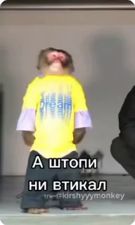Sticker from Тгк-@kirshyyymonkey