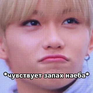 🌟 emoji Stray kids Telegram sticker 12 of 99