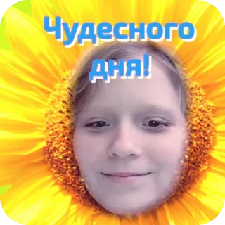 🌸 emoji Кузка Telegram sticker 16 of 36