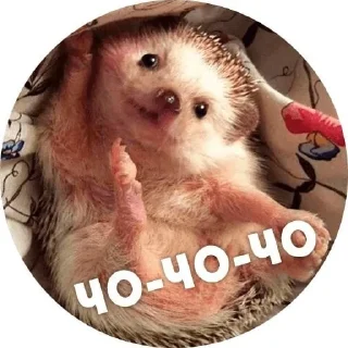Sticker from Наркоёжик