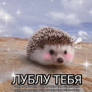 Sticker from Наркоёжик