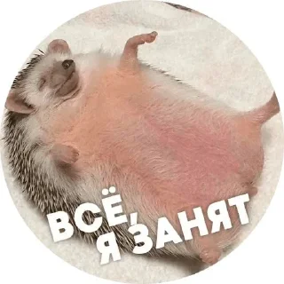 Sticker from Наркоёжик