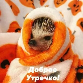 Sticker from Наркоёжик