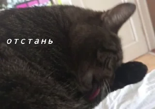 Sticker from куся лучш.