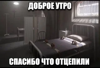 Sticker from кошкин дом