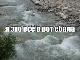 Sticker from кошкин дом