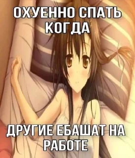 Sticker from кошкин дом