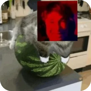 🍉 emoji ГигаНига Telegram sticker 22 of 76