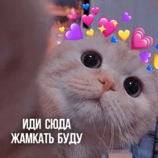 🫂 emoji Создано в @sozdsti_bot Telegram sticker 9 of 111