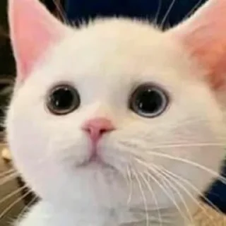 🙂 emoji Создано в @sozdsti_bot Telegram sticker 17 of 111