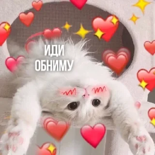 🫂 emoji Создано в @sozdsti_bot Telegram sticker 8 of 111