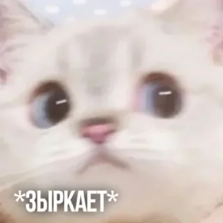 👀 emoji Создано в @sozdsti_bot Telegram sticker 18 of 111