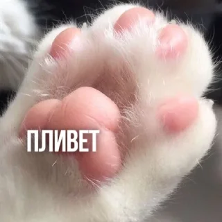 👋 emoji Создано в @sozdsti_bot Telegram sticker 1 of 111