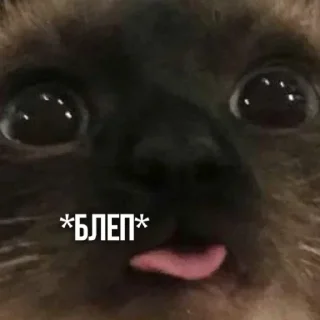 😝 emoji Создано в @sozdsti_bot Telegram sticker 10 of 111