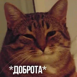 ☺️ emoji Создано в @sozdsti_bot Telegram sticker 11 of 111