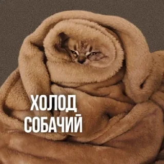🥶 emoji Создано в @sozdsti_bot Telegram sticker 16 of 111