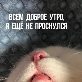 🌞 emoji Создано в @sozdsti_bot Telegram sticker 2 of 111