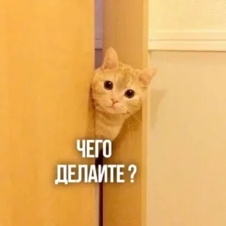 👀 emoji Создано в @sozdsti_bot Telegram sticker 5 of 111