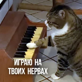 🎹 emoji Создано в @sozdsti_bot Telegram sticker 23 of 111