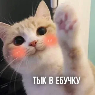 😝 emoji Создано в @sozdsti_bot Telegram sticker 7 of 111
