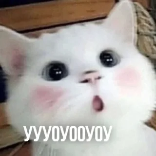 😲 emoji Создано в @sozdsti_bot Telegram sticker 20 of 111