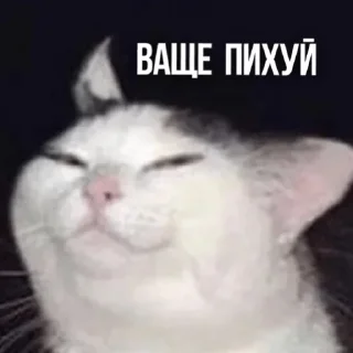 😌 emoji Создано в @sozdsti_bot Telegram sticker 22 of 111