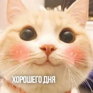 👋 emoji Создано в @sozdsti_bot Telegram sticker 3 of 111