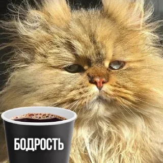 ☕️ emoji Создано в @sozdsti_bot Telegram sticker 4 of 111