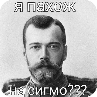 Sticker from Николай 2 @Bruh_qe