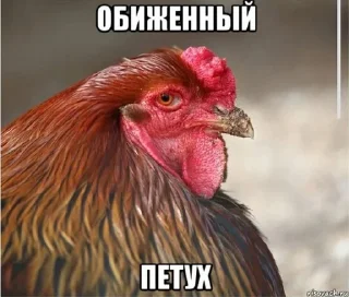 🐔 emoji na vse vremena Telegram sticker 18 of 96