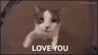 ❤ emoji Йцукенгшщзх Telegram sticker 6 of 22