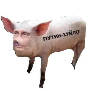 😄 emoji Слава ДСУ-17-я Telegram sticker 1 of 11