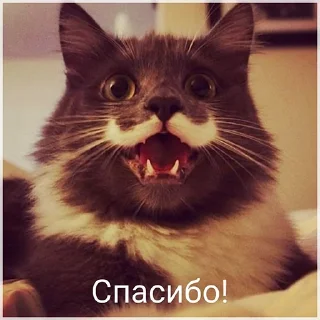 Sticker from Флудилка В.О.