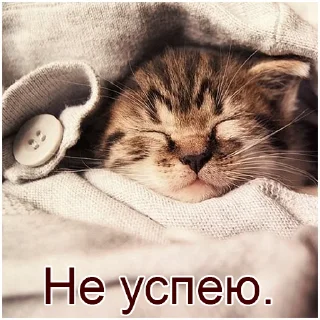 Sticker from Флудилка В.О.