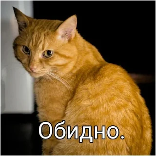 Sticker from Флудилка В.О.
