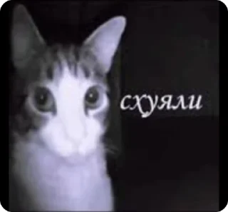 Крутой стикерпак 😏@Fine_cold sticker 3