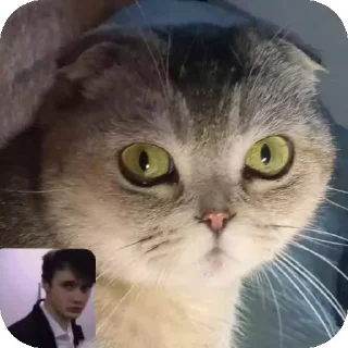 🐱 emoji Далер самый лучший @Dalerrreooww Telegram sticker 7 of 74
