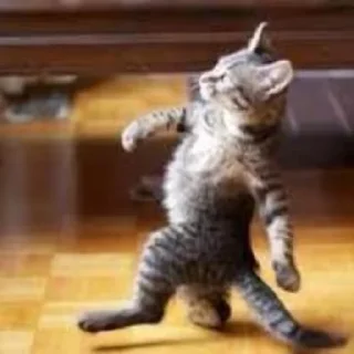🕺 emoji Угар Telegram sticker 3 of 93