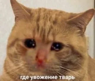 🥲 emoji Угар Telegram sticker 9 of 93