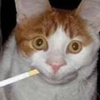 🙂 emoji Угар Telegram sticker 23 of 93