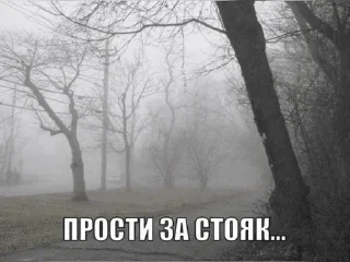 🌟 emoji сейжи кинни реворк Telegram sticker 23 of 107