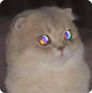 🌟 emoji хйта Telegram sticker 8 of 38