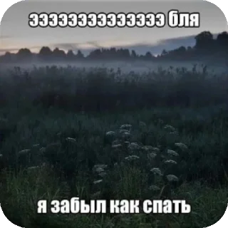 😭 emoji ᡃ⃝ᡃᡃ⃝ᡃ⃝ᡃ⃝ᡃ⃝ᡃ⃝ᡃ⃝егогенский централ ᡃ⃝ᡃ⃝ᡃ⃝ᡃ⃝ᡃ⃝ᡃ⃝ᡃ⃝ᡃ⃝ Telegram sticker 16 of 86