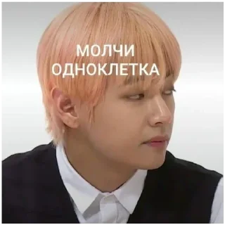 🤐 emoji Для важных переговоров 1 Telegram sticker 17 of 30