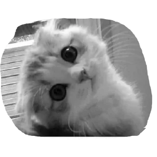 ☺️ emoji @vhbzd @DTOUserBot Paketi 1 Telegram sticker 9 of 55