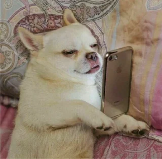 📱 emoji чикибамбони Telegram sticker 20 of 77